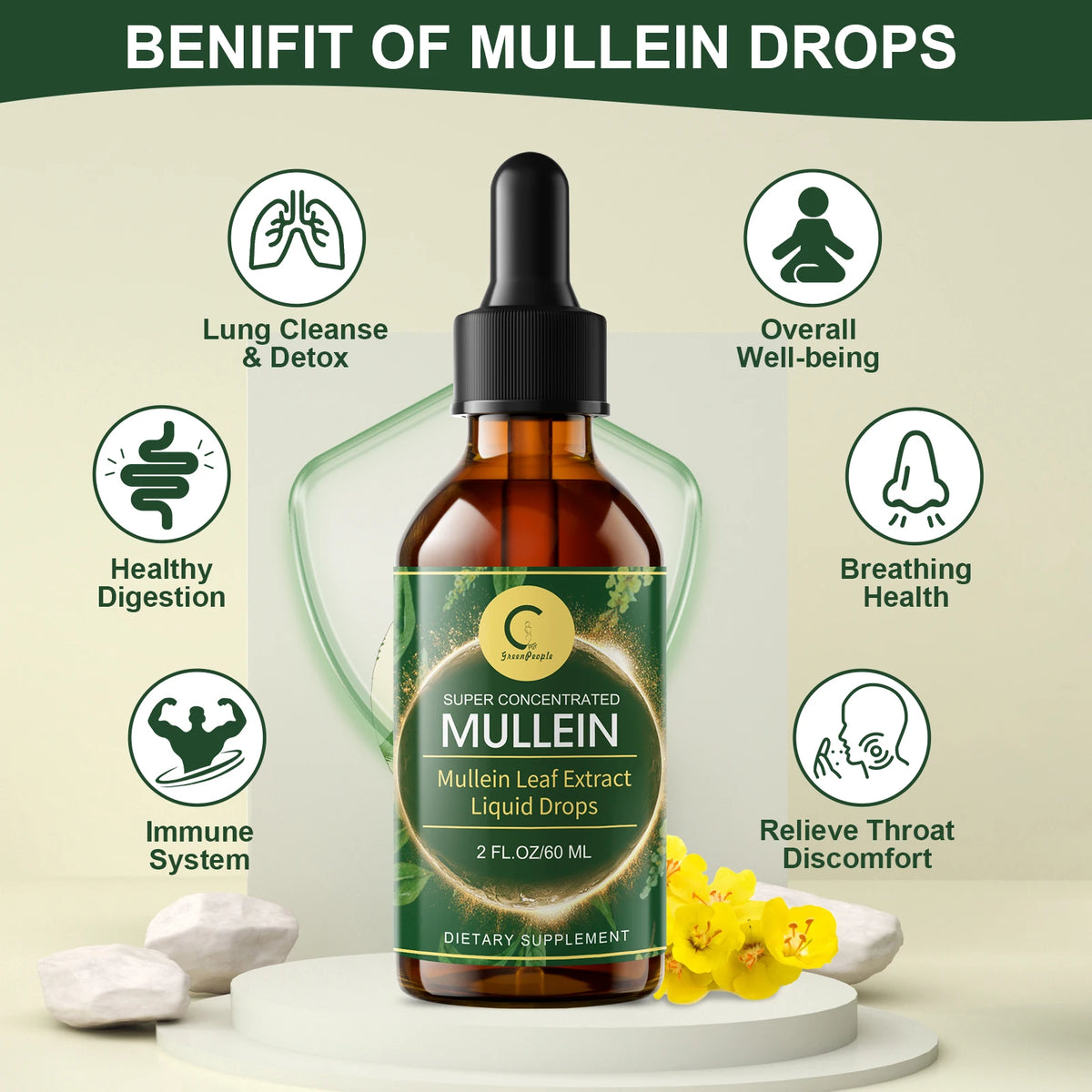 Minch Mullein Drops For Respiratory And Lung Health Support