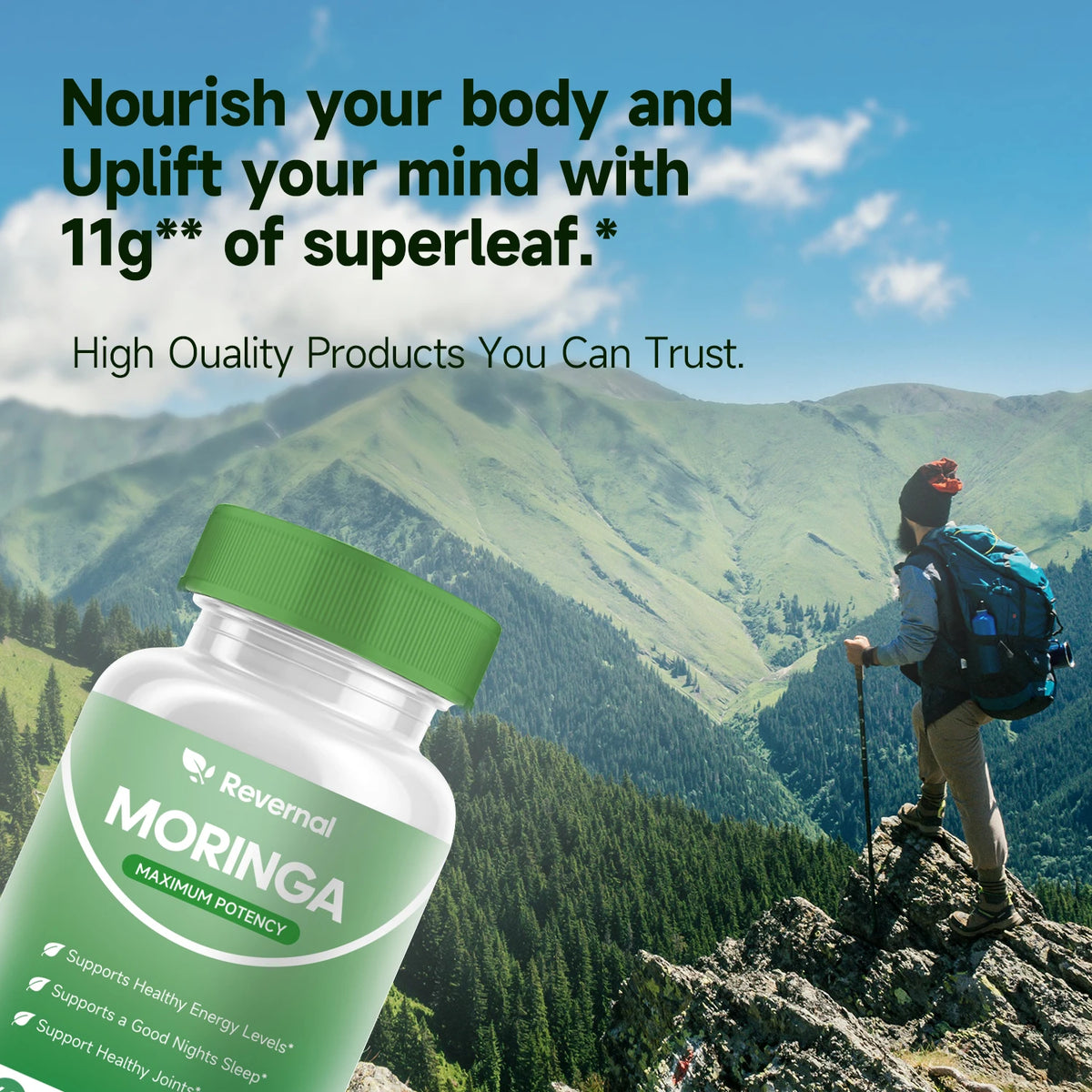 Quitmood Moringa Powder Capsules Pure Natural Antioxidant Superfood Support