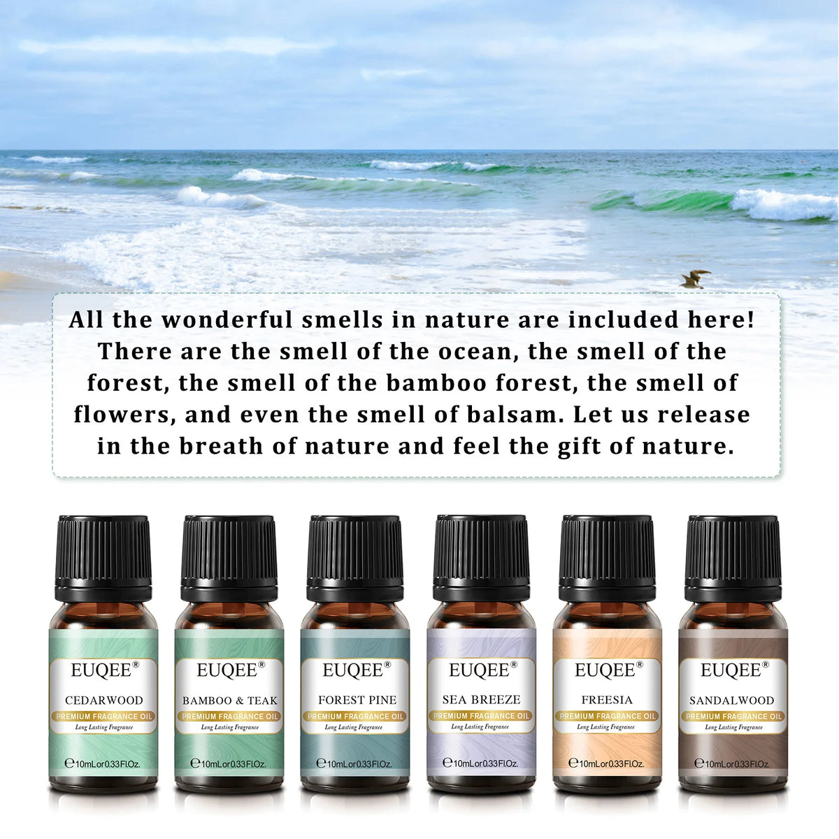 EUQEE 6 Bottle Fragrance Oils Gift Set For Soap Candle Making -10ml Freesia,Sea Breeze,Sandalwood,Cedarwood,Bamboo & Teak,Forest Pine Aroma Oil