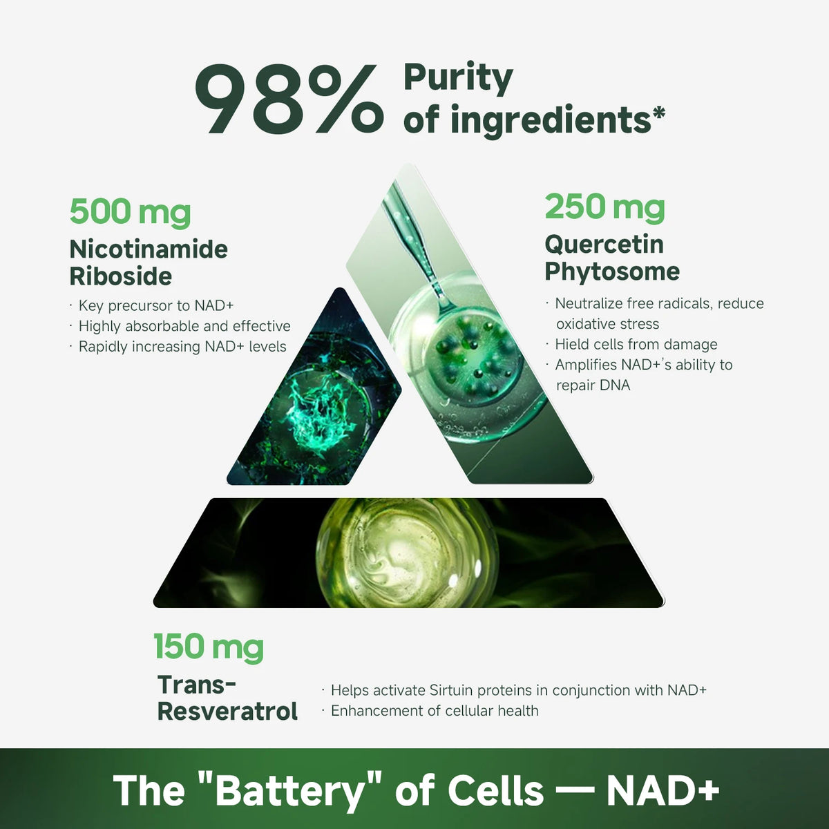 Quitmood NR900 Supplement Nicotinamide Riboside Resveratrol Quercetin NAD
