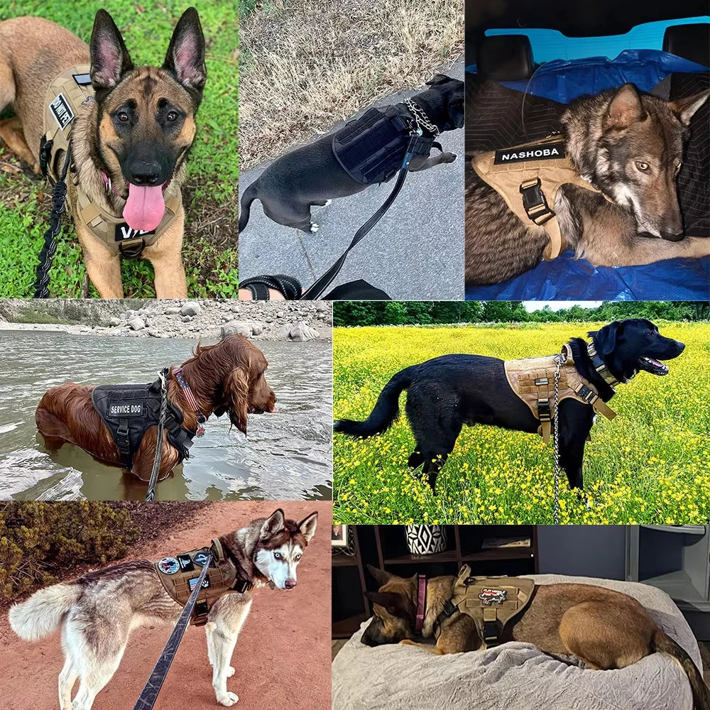 Military Large Dog Harness Collar Leash Bags Patches Set Pet Malinois Training Vests Tactical Dogs Harnesses Accessories