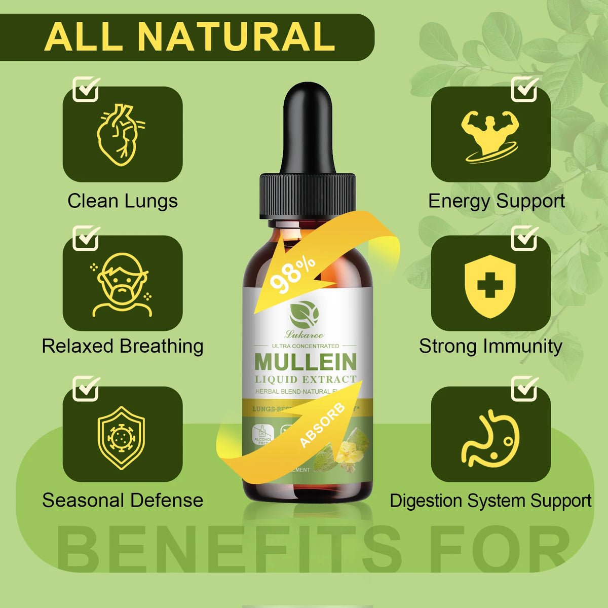 Mulittea Mullein Leaf Extract Drops For Respiratory Support