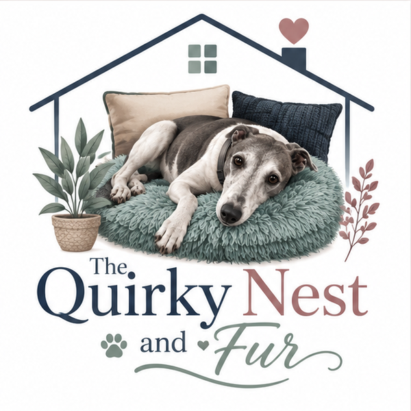 The Quirky Nest and Fur